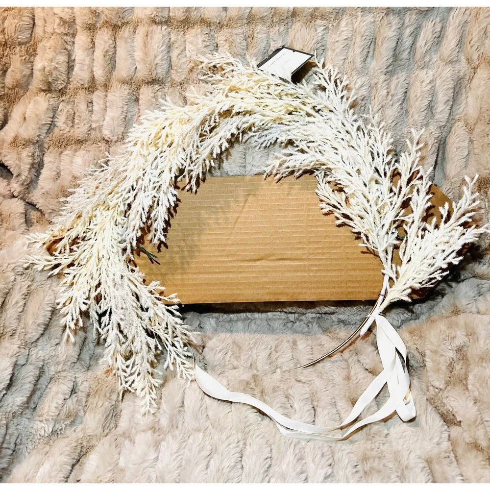 Ring Pampas Grass Botanical Wreath 22 inch - Threshold - New